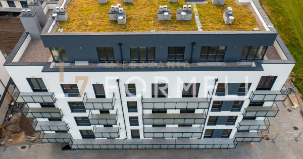Dach zielony